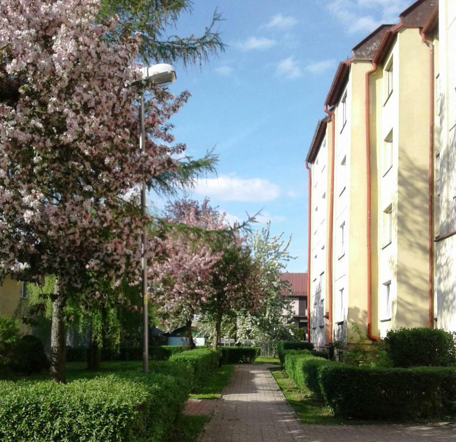 Apartament Jasminowy Kudowa Zdroj Exterior photo